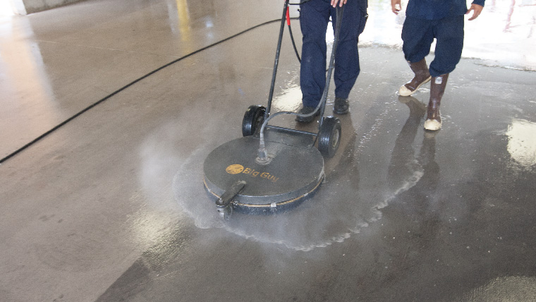 Surface cleaning